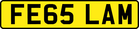FE65LAM