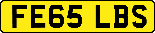 FE65LBS