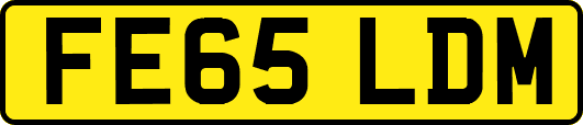 FE65LDM