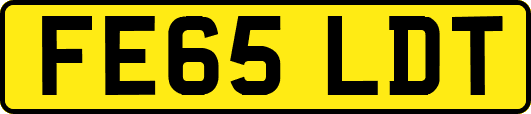 FE65LDT