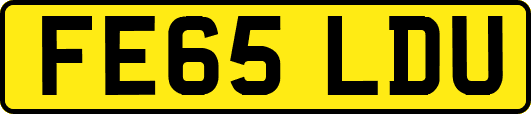 FE65LDU