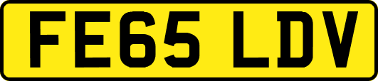 FE65LDV