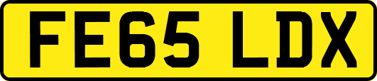 FE65LDX