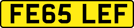 FE65LEF