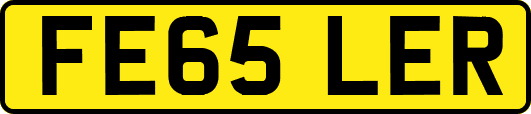 FE65LER