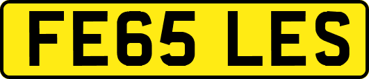 FE65LES