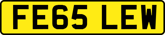 FE65LEW
