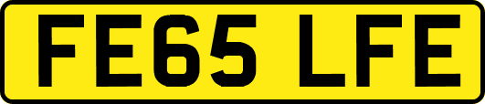 FE65LFE