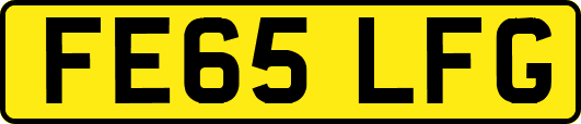 FE65LFG