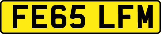 FE65LFM