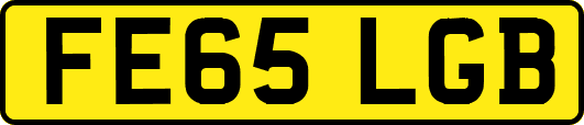 FE65LGB