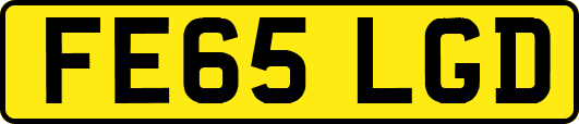 FE65LGD