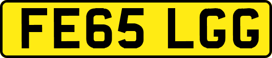 FE65LGG