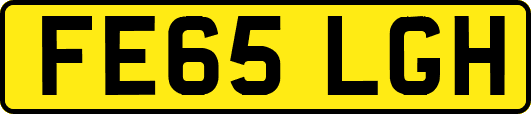 FE65LGH