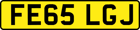 FE65LGJ
