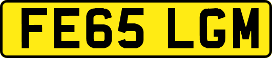 FE65LGM