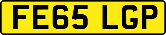 FE65LGP
