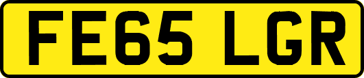 FE65LGR