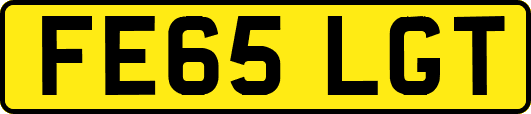 FE65LGT