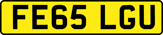 FE65LGU