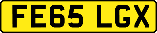 FE65LGX