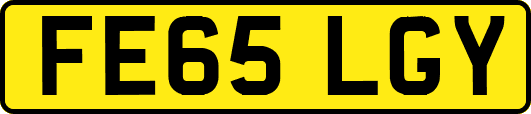 FE65LGY