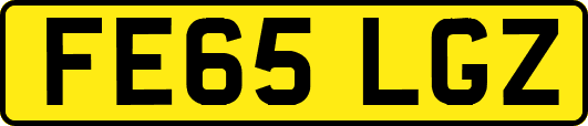 FE65LGZ
