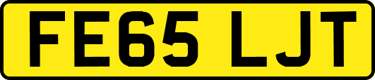 FE65LJT