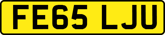 FE65LJU