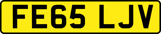 FE65LJV