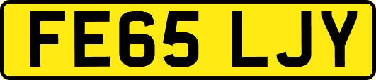 FE65LJY