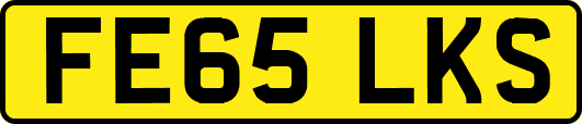 FE65LKS