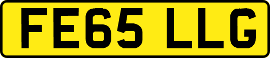 FE65LLG