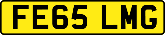 FE65LMG