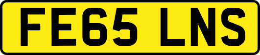 FE65LNS