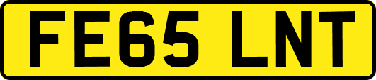 FE65LNT
