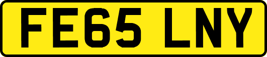 FE65LNY