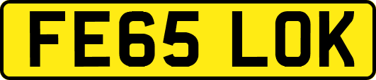 FE65LOK