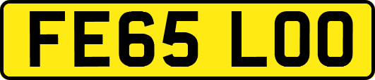 FE65LOO