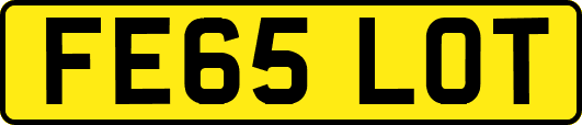 FE65LOT