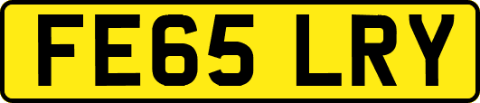 FE65LRY