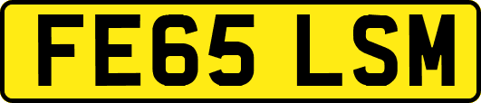 FE65LSM