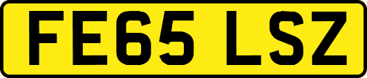 FE65LSZ