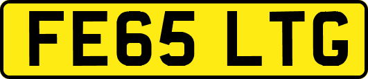 FE65LTG