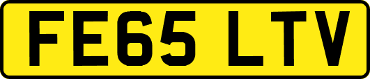 FE65LTV