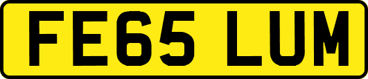 FE65LUM