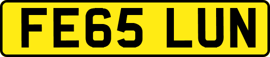 FE65LUN
