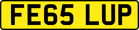 FE65LUP