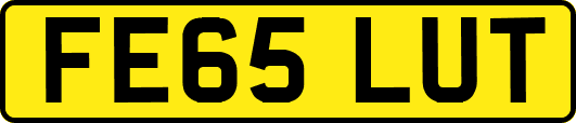 FE65LUT