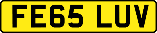 FE65LUV